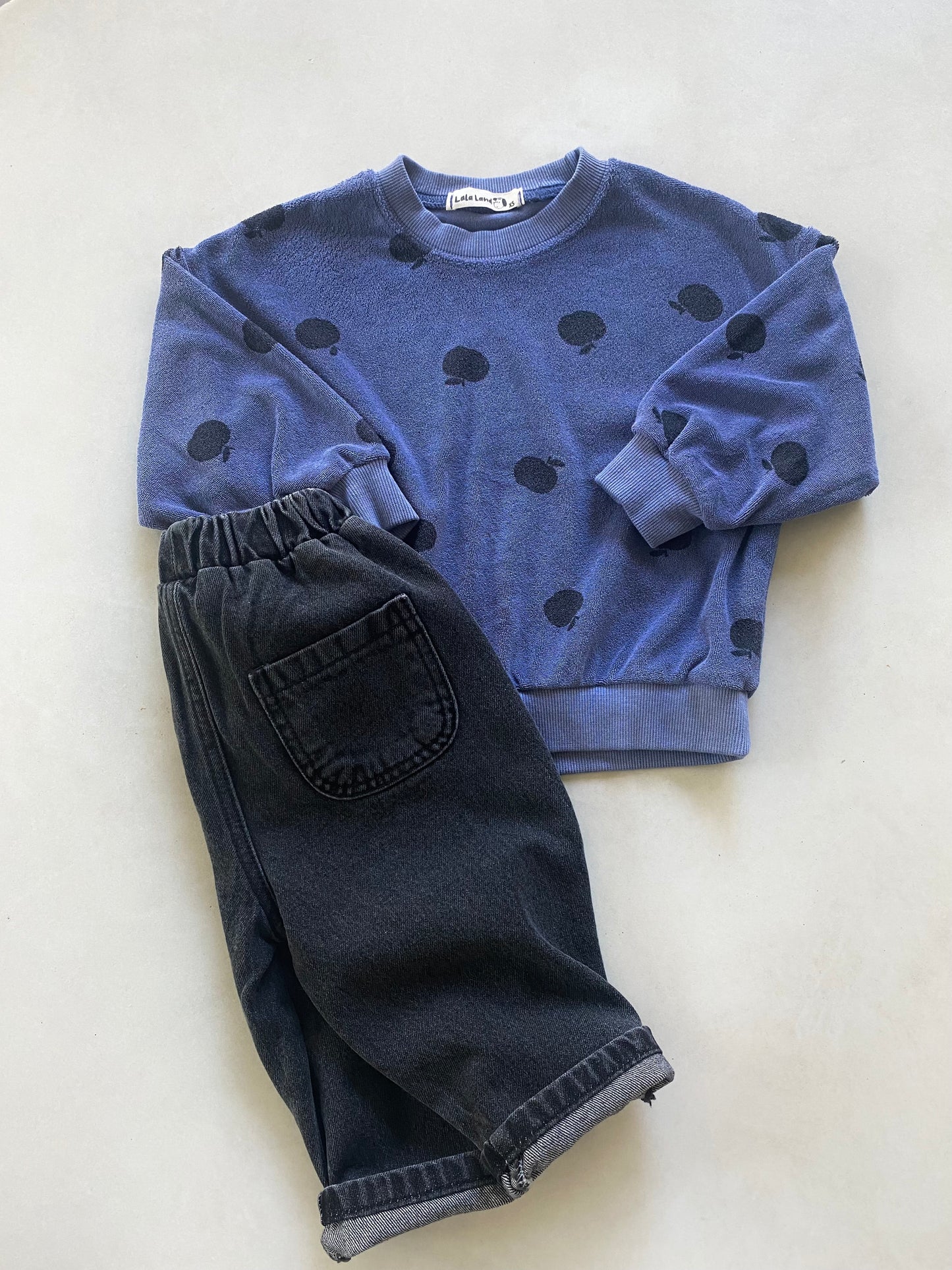Apple Terry Sweater - Blue